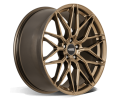 DOTZ Suzuka bronze