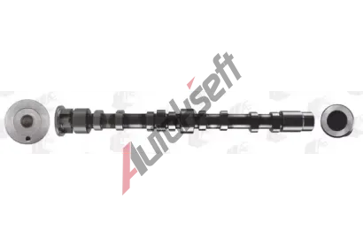 AE Vakov hdel AE CAM1006, CAM1006
