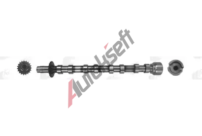 AE Vakov hdel AE CAM1019, CAM1019