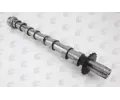AE Vakov hdel AE CAM1019, CAM1019