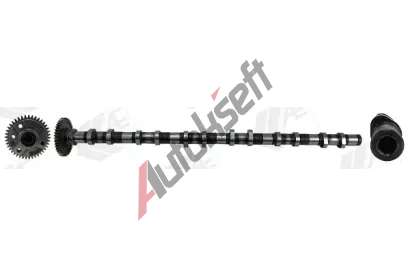 AE Vakov hdel AE CAM1028, CAM1028