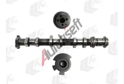 AE Vakov hdel AE CAM1069, CAM1069