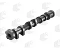 AE Vačkový hřídel AE CAM1070, CAM1070