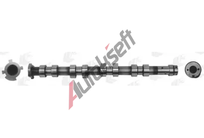 AE Vačkový hřídel AE CAM957, CAM957 AE Vačkový hřídel AE CAM957, CAM957