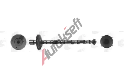 AE Vačkový hřídel AE CAM973, CAM973 AE Vačkový hřídel AE CAM973, CAM973