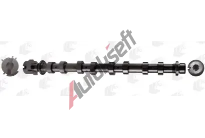 AE Vačkový hřídel AE CAM979, CAM979  AE Vačkový hřídel AE CAM979, CAM979