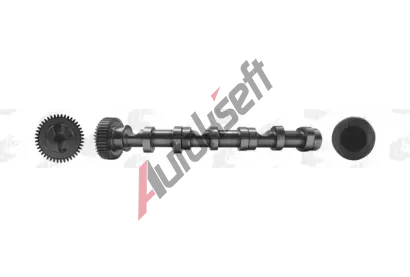 AE Vačkový hřídel AE CAM992, CAM992 AE Vačkový hřídel AE CAM992, CAM992