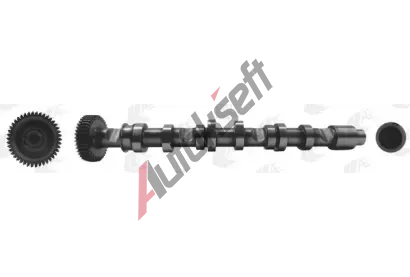 AE Vačkový hřídel AE CAM993, CAM993 AE Vačkový hřídel AE CAM993, CAM993