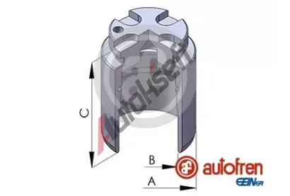 AUTOFREN SEINSA Píst brzdového třmenu AFR D02548, D02548 AUTOFREN SEINSA Píst brzdového třmenu AFR D02548, D02548