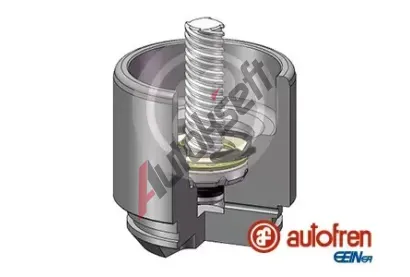 AUTOFREN SEINSA Pst brzdovho tmenu AFR D025691LK, D025691LK