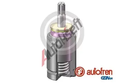AUTOFREN SEINSA Pst brzdovho tmenu AFR D025740K, D025740K
