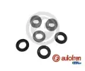 Sada na opravu hlavn�ho brzdov�ho v�lce&nbsp;AUTOFREN SEINSA&nbsp;&dash;&nbsp;AFR D1265