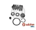 AUTOFREN SEINSA Sada na opravu hlavnho spojkovho vlce ‐ AFR D1271