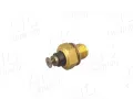 AIC Senzor teploty chladic� kapaliny ��STI NOV� MOBILITY AIC 50796, 50796