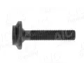 Osov� �roub hnac�ho h��dele&nbsp;AIC&nbsp;&dash;&nbsp;AIC 52043