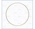 Tsnn hlavy vlce AJUSA ‐ AJS 00232500