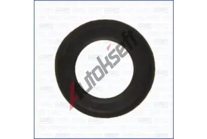 AJUSA Tsnn drku trysky AJS 00652400, 00652400