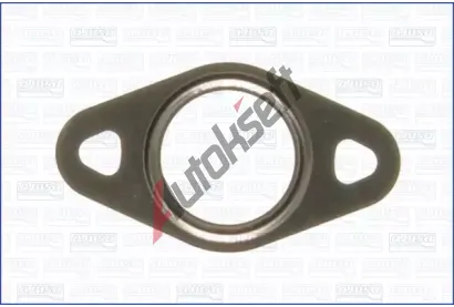 AJUSA Tsnn AGR ventilu AJS 00849400, 00849400
