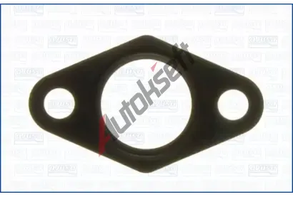 AJUSA T�sn�n� AGR ventilu AJS 00862000, 00862000