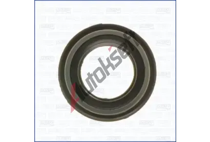 AJUSA T�sn�n� AJS 01011200, 01011200