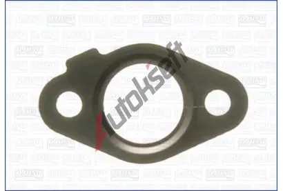 AJUSA Tsnn AGR ventilu AJS 01079100, 01079100