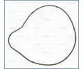 Tsnn vodnho erpadla AJUSA ‐ AJS 01099900