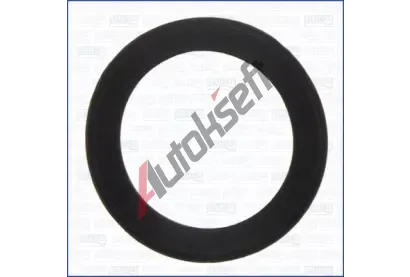 AJUSA Těsnění, hrdlo škrtící klapky AJS 01112100, 01112100 AJUSA Těsnění, hrdlo škrtící klapky AJS 01112100, 01112100