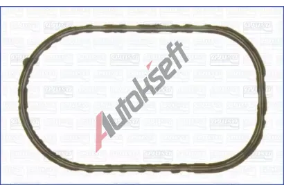 AJUSA Tsnn vakuovho erpadla AJS 01119600, 01119600
