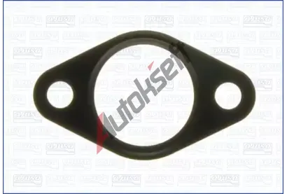 AJUSA Tsnn AGR ventilu AJS 01161300, 01161300