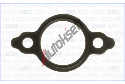 AJUSA T�sn�n� AGR ventilu AJS 01179300, 01179300