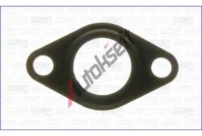 AJUSA Tsnn veden AGR ventilu AJS 01218000, 01218000