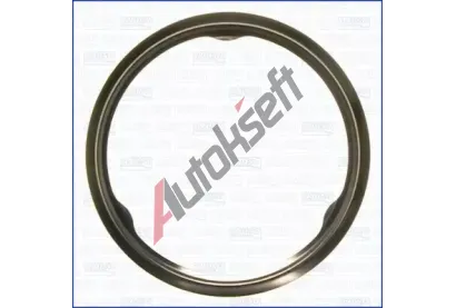 AJUSA T�sn�n� v�fukov� trubky AJS 01219100, 01219100