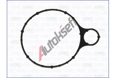 AJUSA Tsnn vakuovho erpadla AJS 01302500, 01302500