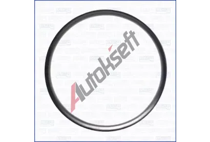 AJUSA Tsnic krouek kompresoru AJS 01310900, 01310900