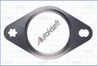 AJUSA T�sn�n� v�fukov� trubky AJS 01396300, 01396300