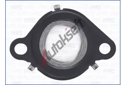 AJUSA T�sn�n� AGR ventilu AJS 01419500, 01419500
