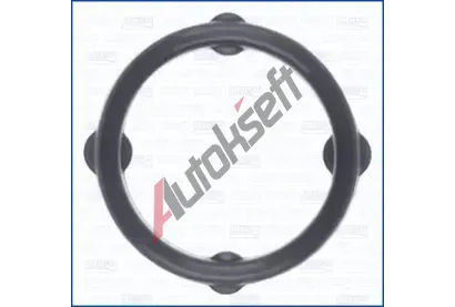 AJUSA Těsnění rozvodového ústrojí AJS 01463100, 01463100 AJUSA Těsnění rozvodového ústrojí AJS 01463100, 01463100