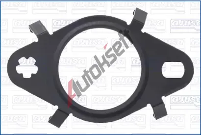 AJUSA T�sn�n� AGR ventilu AJS 01639800, 01639800