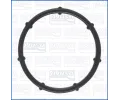 T�sn�n� pouzdra termostatu&nbsp;AJUSA&nbsp;&dash;&nbsp;AJS 01725800