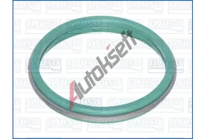 AJUSA Těsnění krytu hlavy válce AJS 01756200, 01756200 AJUSA Těsnění krytu hlavy válce AJS 01756200, 01756200