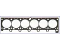 Tsnn hlavy vlce AJUSA ‐ AJS 10032510
