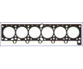 Tsnn hlavy vlce AJUSA ‐ AJS 10032810