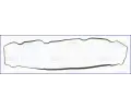 AJUSA Tsnn - kryt hlavy vlce AJS 11098000, 11098000