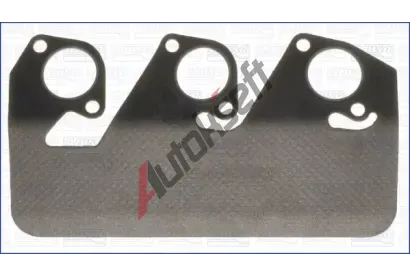 AJUSA T�sn�n� - kolektor v�fukov�ch plyn� AJS 13068900, 13068900