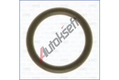 AJUSA T�sn�n� termostatu AJS 16015500, 16015500