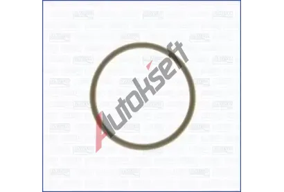 AJUSA Těsnění držáku trysky AJS 16016500, 16016500 AJUSA Těsnění držáku trysky AJS 16016500, 16016500