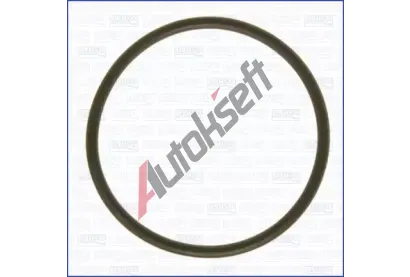 AJUSA T�sn�n� palivov�ho �erpadla AJS 16035201, 16035201