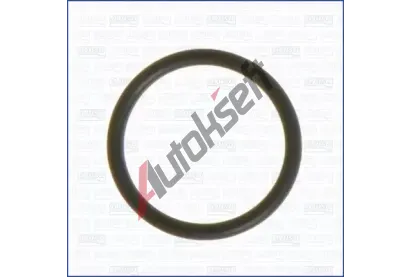 AJUSA Těsnění kolena sacího potrubí AJS 16055900, 16055900 AJUSA Těsnění kolena sacího potrubí AJS 16055900, 16055900