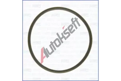 AJUSA Tsnic krouek, vodn erpadlo AJS 16074700, 16074700