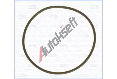 AJUSA T�sn�n� vakuov�ho �erpadla AJS 16075800, 16075800